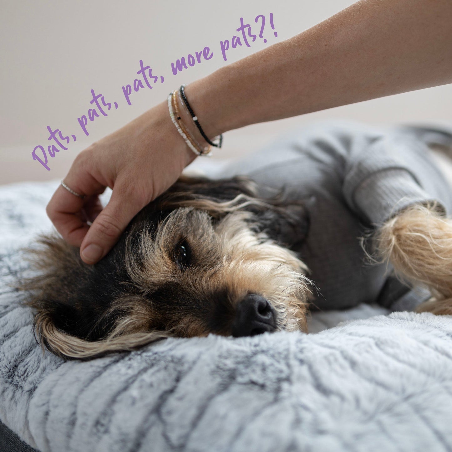 Long John Dog Pyjamas - Grey