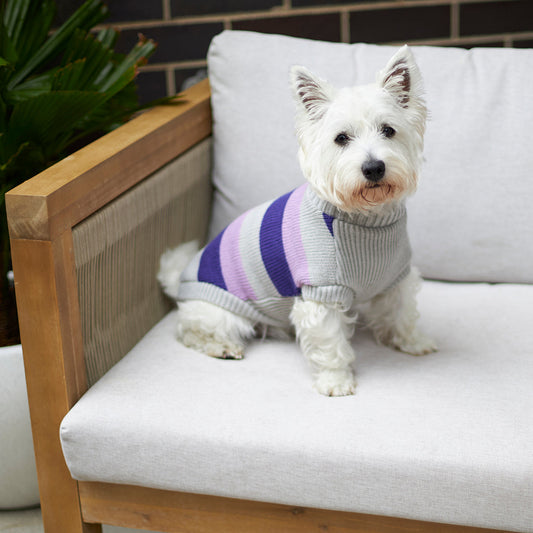 Bumble Dog Jumper - Lavender